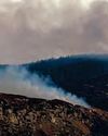 Does prescribed burning have an image problem? The Field