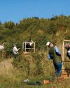 High jinks at Hilldrop The Field