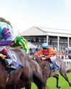 Gimcrack's greatest legacy The Field