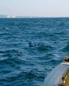 Tackling poorly marked fishing gear Tackling poorly marked fishing gear1
