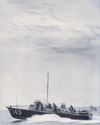 SAVE THE WHALEBACK2