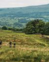 15 OF THE BEST ADVENTURES 15 OF THE BEST ADVENTURES
