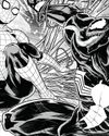 Arachnid Adversaries Arachnid Adversaries