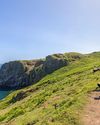 PERFECT PUFFIN PHOTOGRAPHY