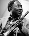 MUDDY WATERS