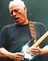 David Gilmour 