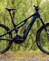 WHYTE KADO RSX11