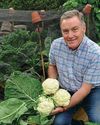 A NEW kitchen garden