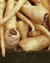 THE BIG (OR LITTLE) PARSNIP GROW-ALONG