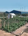 The VEG-GROWING VETERANS The VEG-GROWING VETERANS
