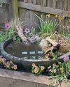 BUILD YOUR OWN CONTAINER POND BUILD YOUR OWN CONTAINER POND