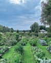 OUR TOP PLOTTERS Kitchen Garden