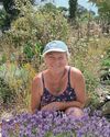 Kitchen Garden