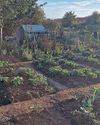 Kitchen Garden