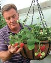 Kitchen Garden