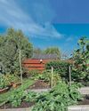 Kitchen Garden