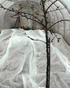 UNDER COVER UNDER COVER1