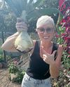 MARVEL AT MAMMOTH ONIONS MARVEL AT MAMMOTH ONIONS19