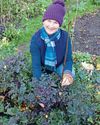 Kitchen Garden