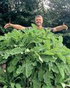 Kitchen Garden