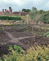 Kitchen Garden