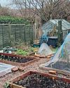 Kitchen Garden