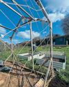 Kitchen Garden