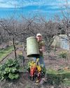 Kitchen Garden