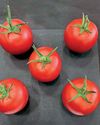 Kitchen Garden