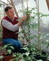 Kitchen Garden