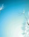 SEEKING OUT softness3