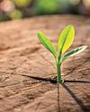 Let yourself grow!4