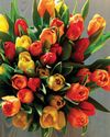 Psychologies UK