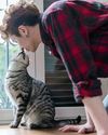 How Cats Find Their Owners How Cats Find Their Owners
