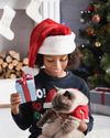 Celebrating the Season With Our Cats Celebrating the Season With Our Cats