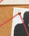 My HUSBAND, THE conspiracy THEORIST5