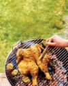 SIZZLING HOT GRILLS16