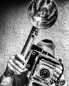Flex or single-lens reflex?