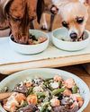 Brunch