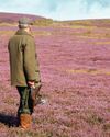 Grouse shooting in trouble