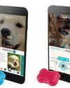 The Fitbark 2: Pet Wellness at Your Fingertips! The Fitbark 2: Pet Wellness at Your Fingertips!