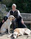 Gundogs at the Game Fair