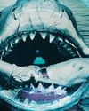 Into the DEEP4