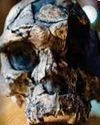 The origin of species What's on TV