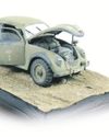 Desert Beetle