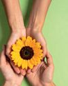 El poder de la amabilidad El poder de la amabilidad8