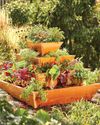 BUILD A VERTICAL GARDEN BUILD A VERTICAL GARDEN