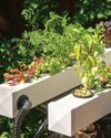 DIY! HYDROPONIC GARDEN