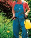 EARTH-FRIENDLY WEED KILLERS EARTH-FRIENDLY WEED KILLERS