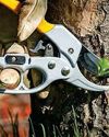 How to Prune a Tree1